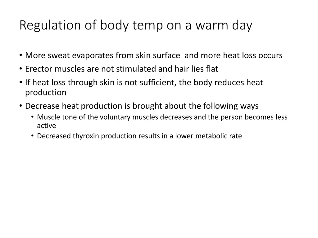 regulation of body temp on a warm day 1