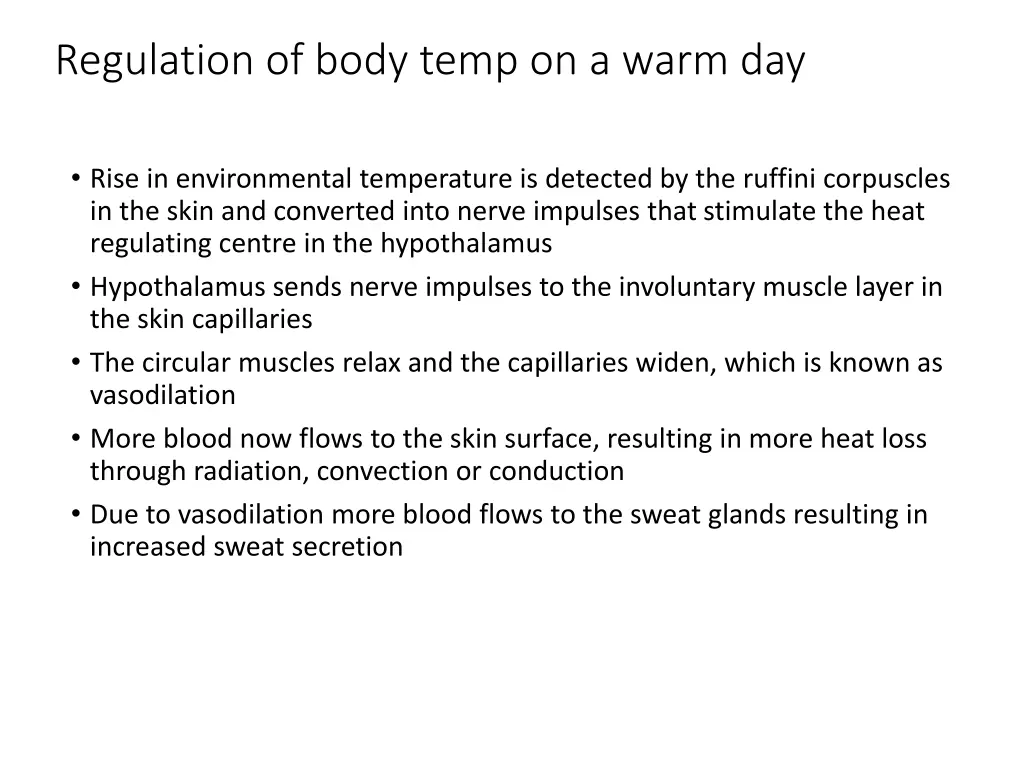 regulation of body temp on a warm day