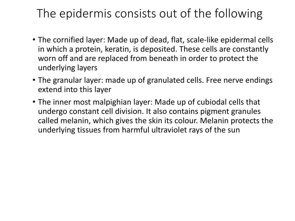 the epidermis consists out of the following