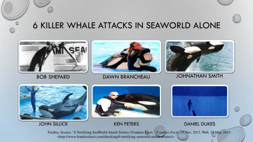 6 killer whale attacks in seaworld alone