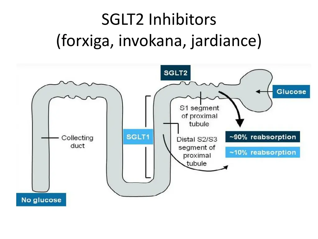 sglt2 inhibitors forxiga invokana jardiance