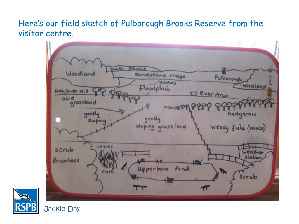 here s our field sketch of pulborough brooks