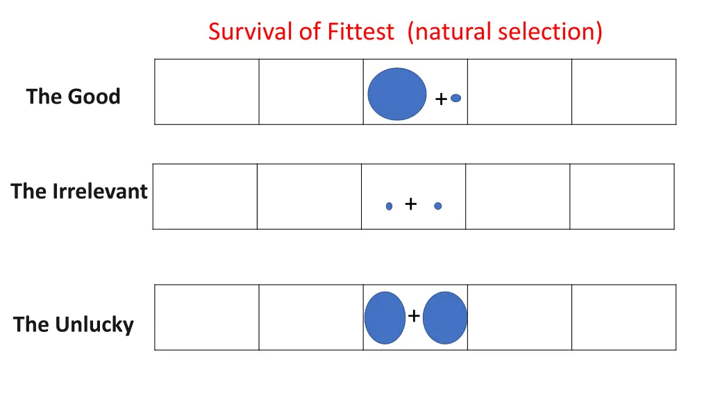 survival of fittest natural selection