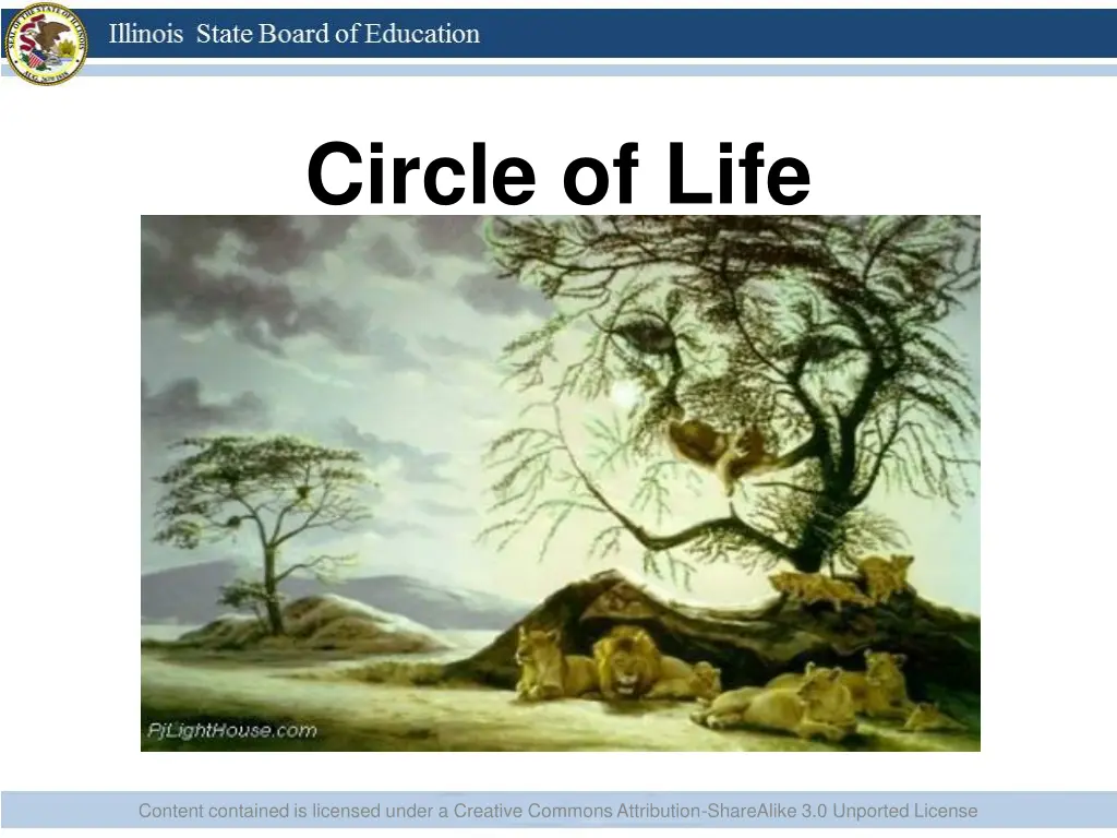 circle of life