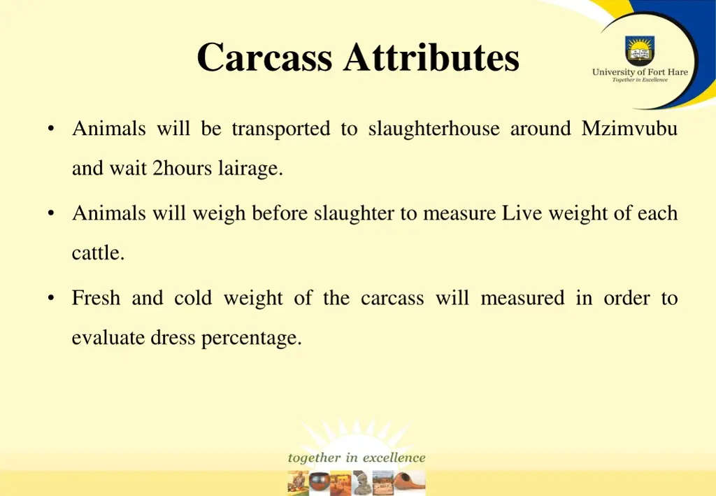 carcass attributes