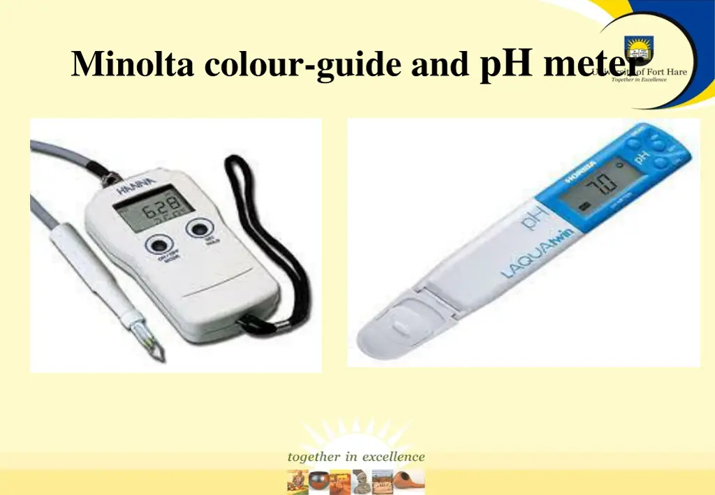 minolta colour guide and ph meter