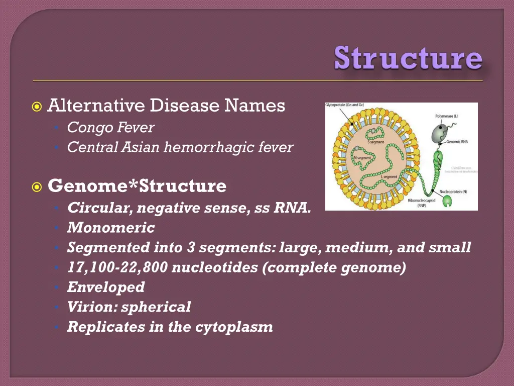 alternative disease names congo fever central