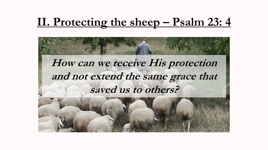 ii protecting the sheep psalm 23 4 2