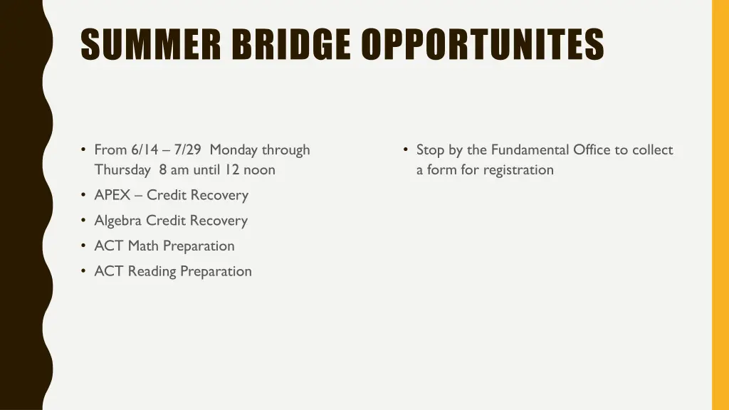 summer bridge opportunites