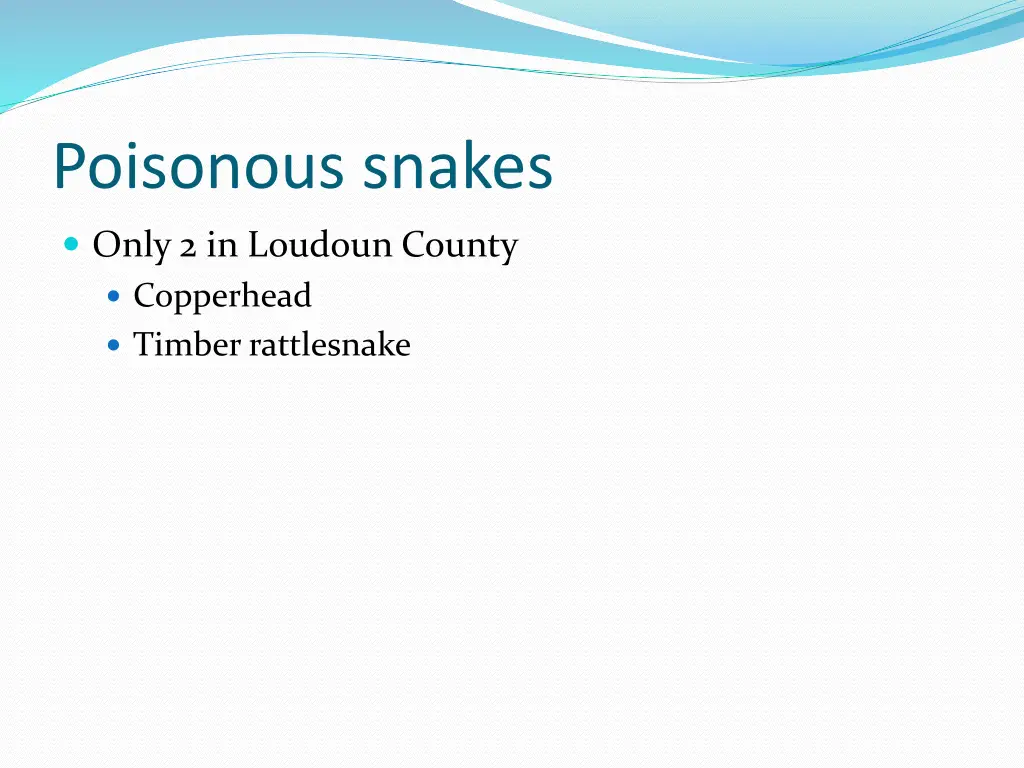 poisonous snakes