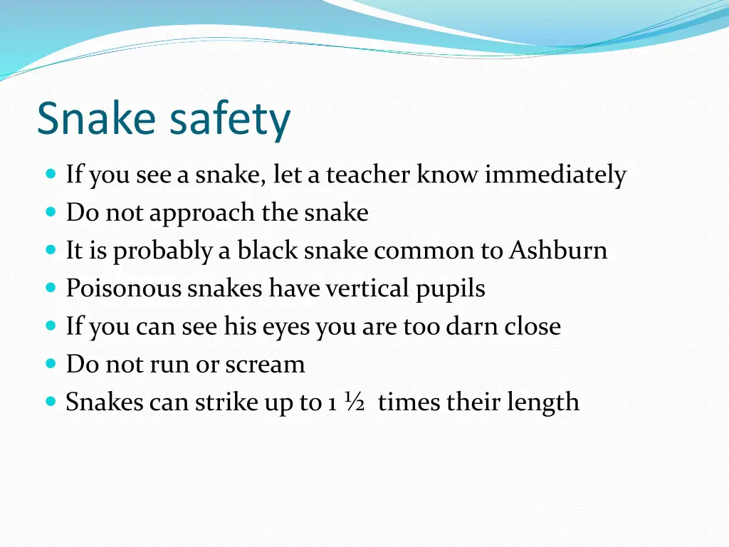 snake safety