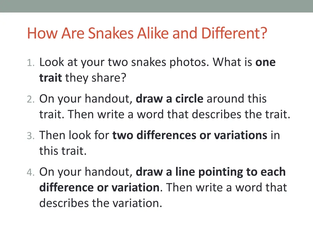 how are snakes alike and different 2