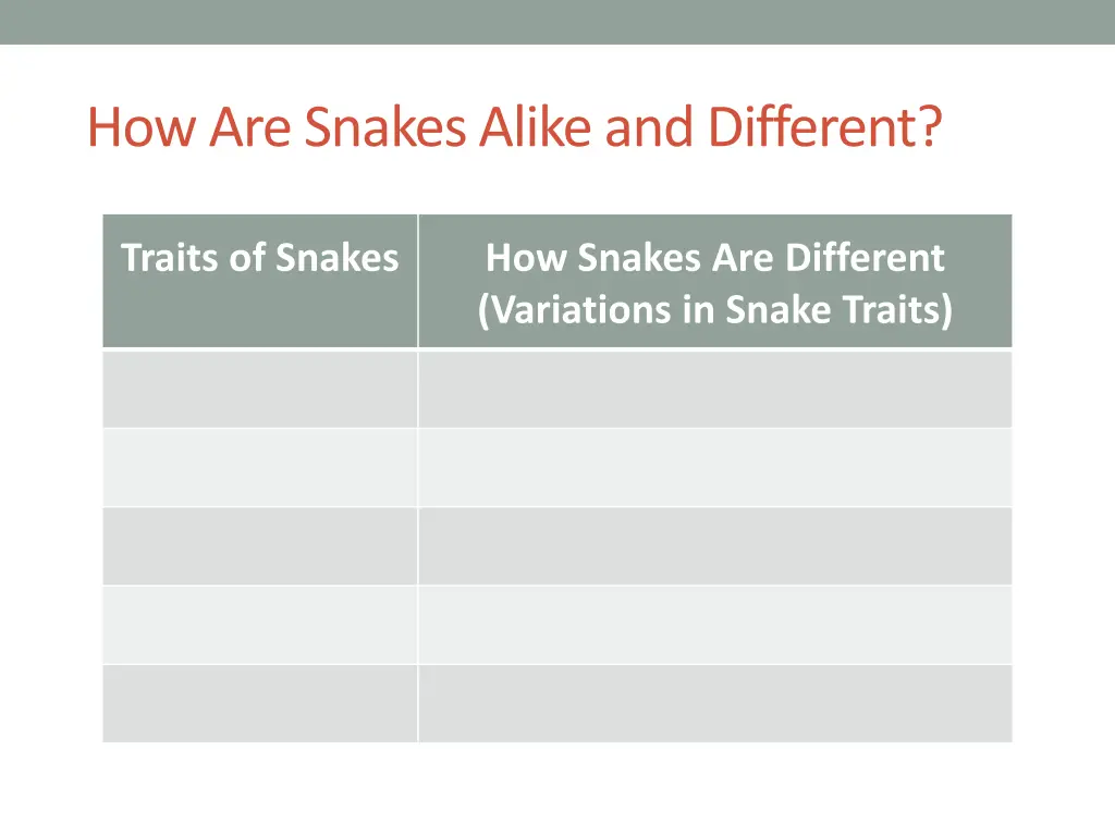 how are snakes alike and different