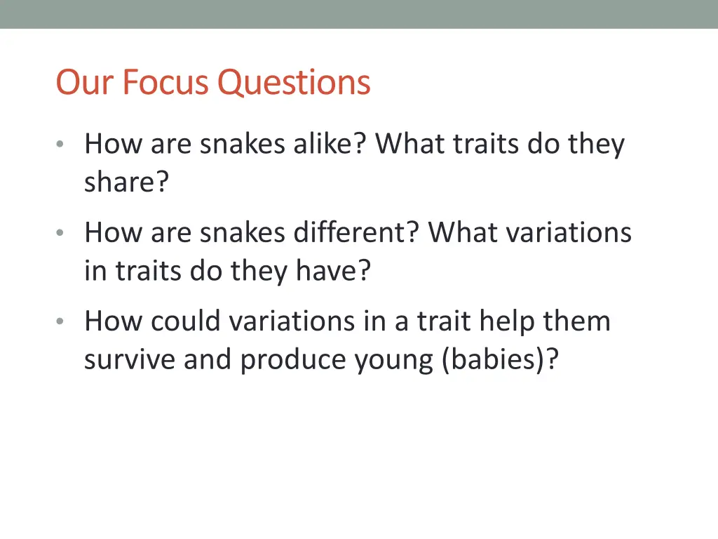 our focus questions