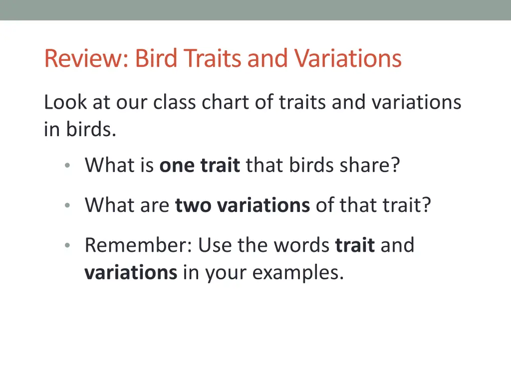 review bird traits and variations