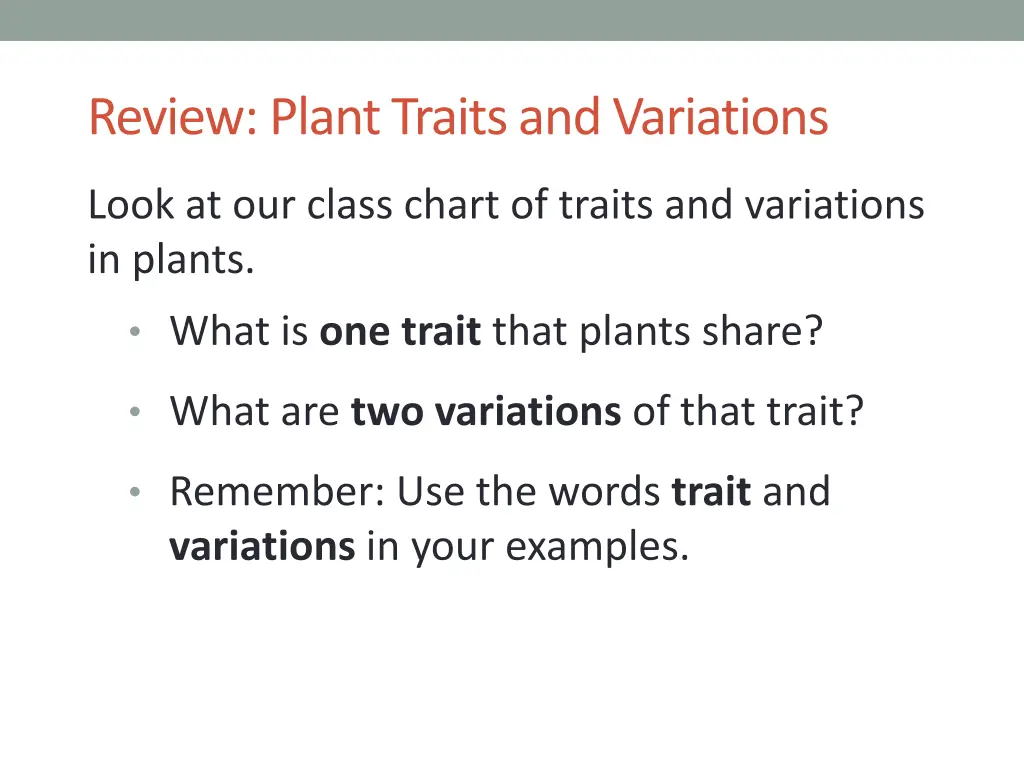 review plant traits and variations