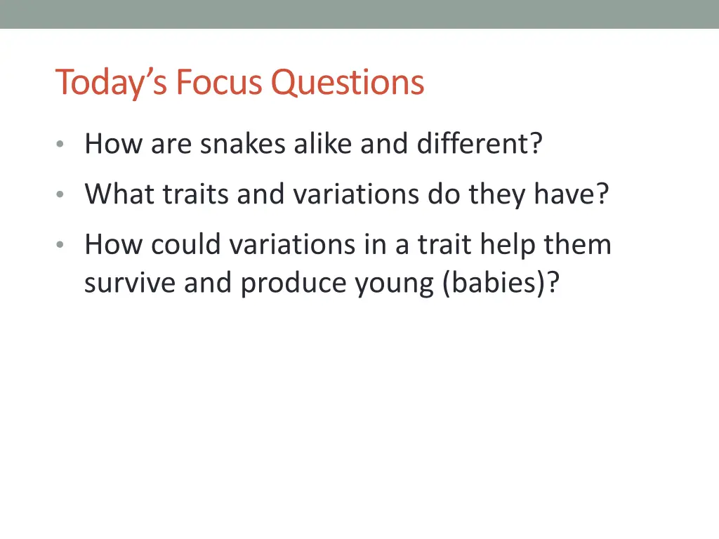 today s focus questions