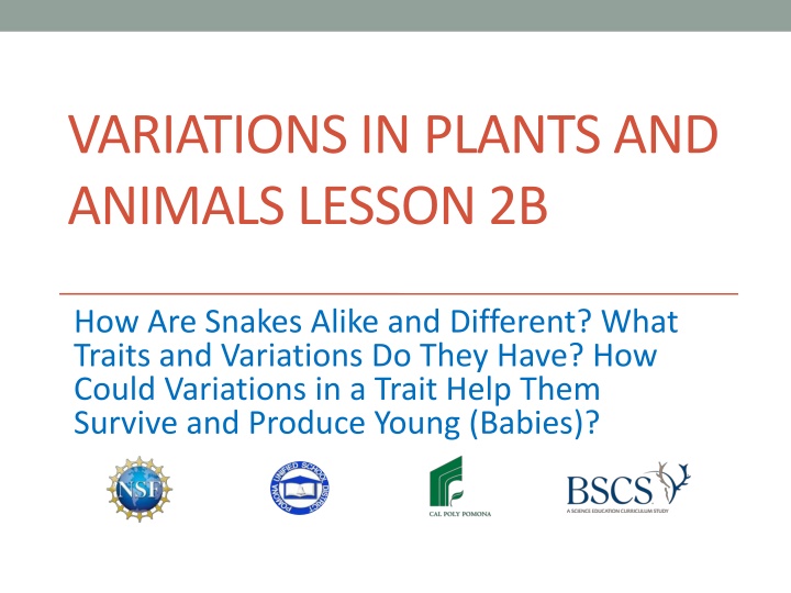 variations in plants and animals lesson 2b