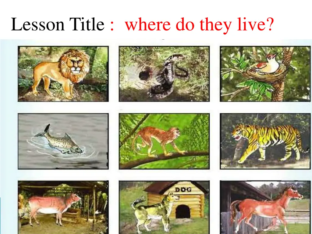 lesson title where do they live