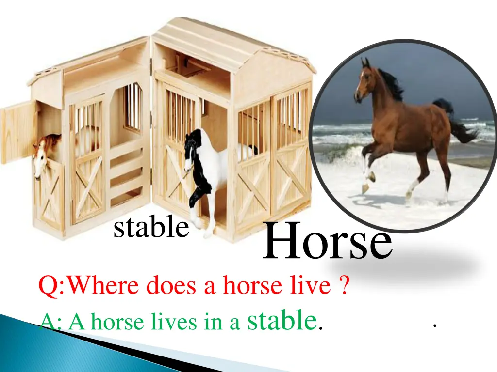 stable