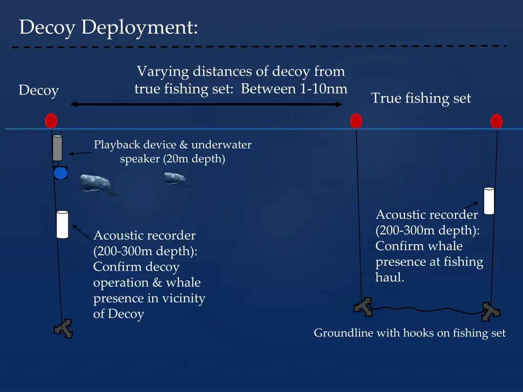 decoy deployment