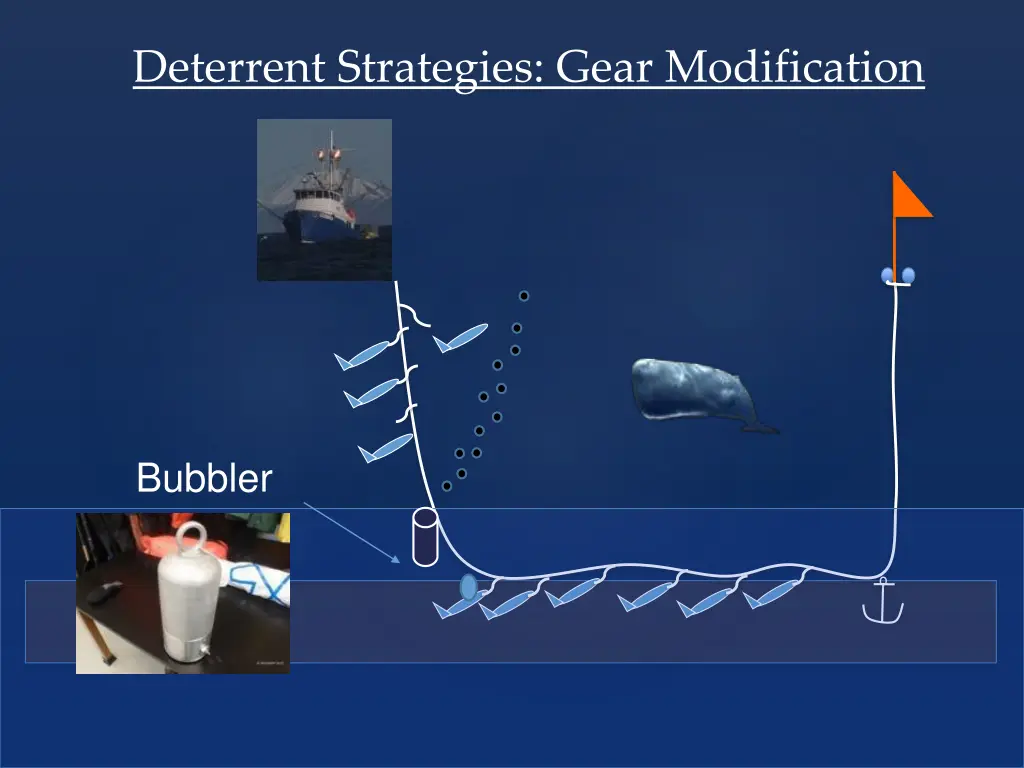 deterrent strategies gear modification