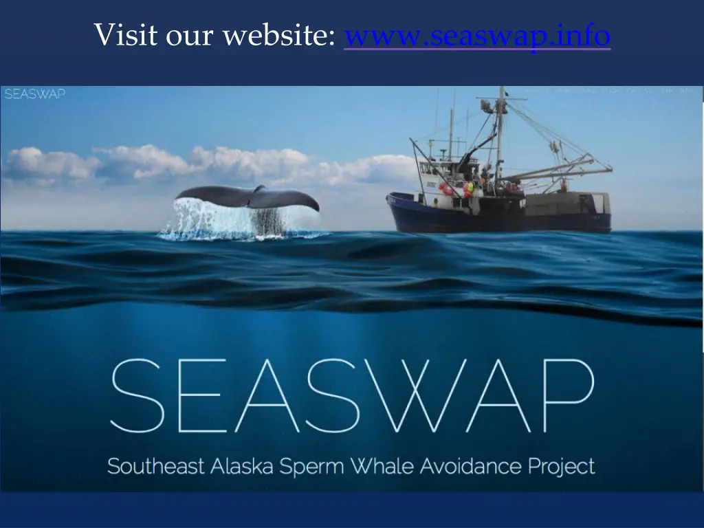 visit our website www seaswap info