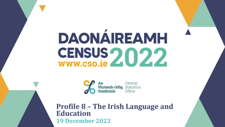 profile 8 the irish language and education