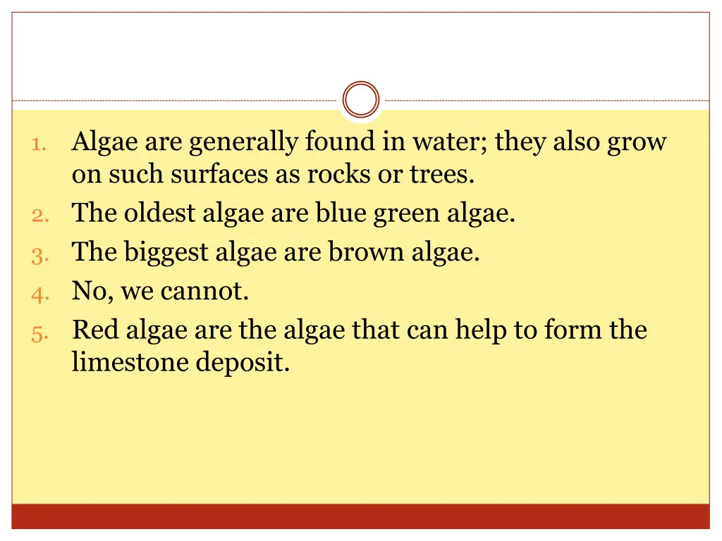 algae are generally found in water they also grow