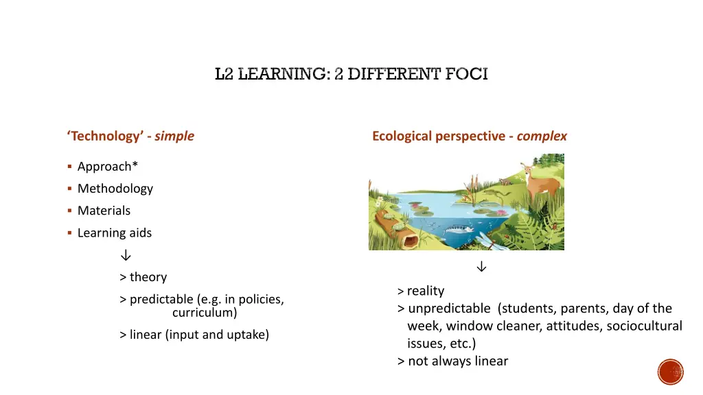 l2 learning 2 different foci