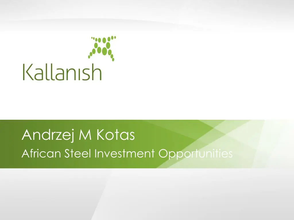 andrzej m kotas african steel investment