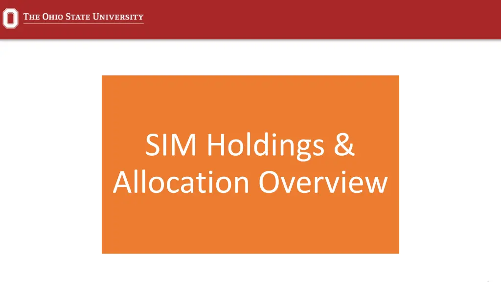 sim holdings allocation overview