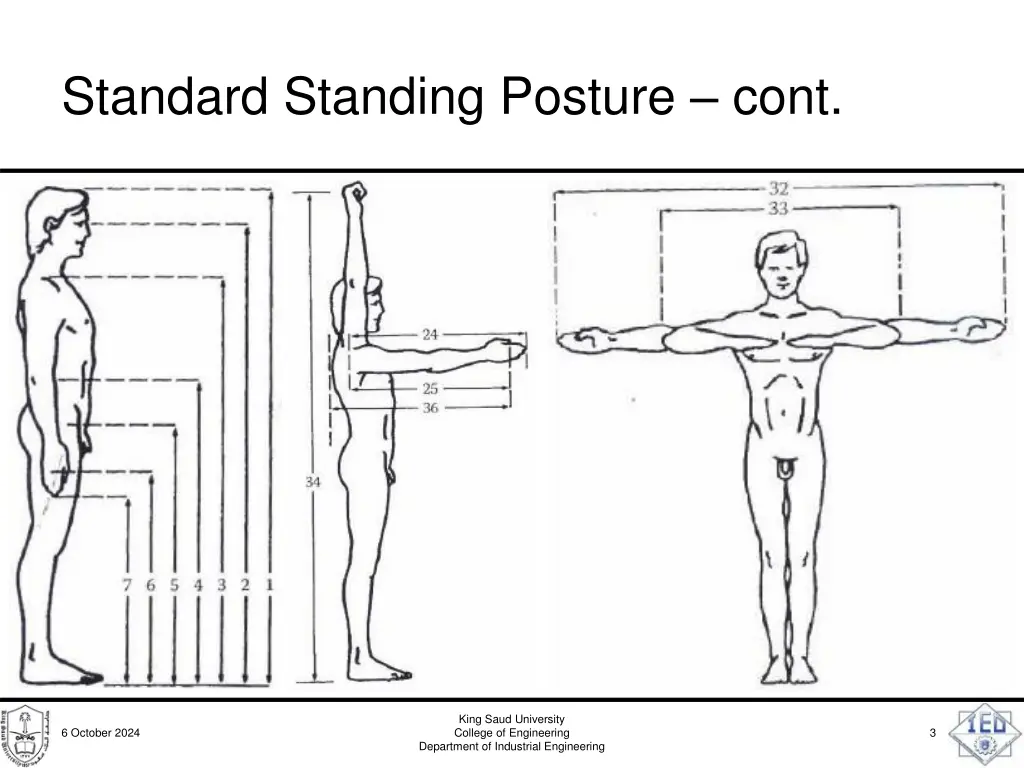 standard standing posture cont