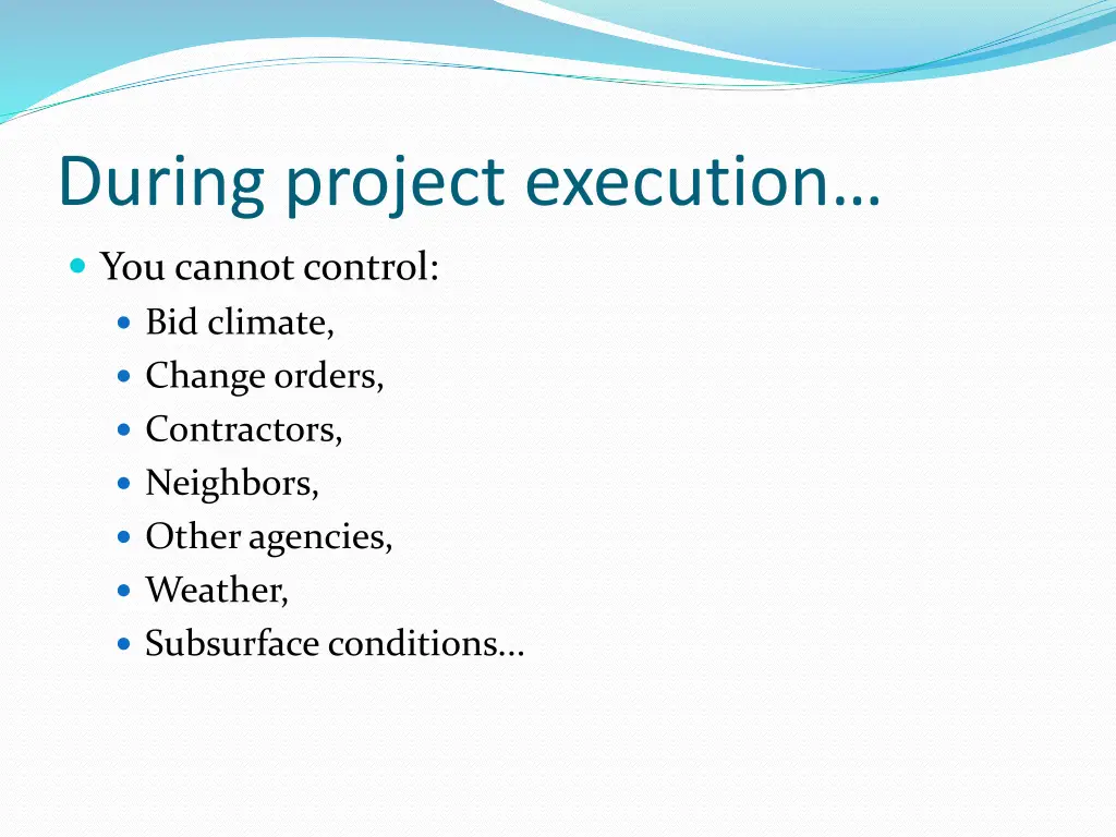 during project execution