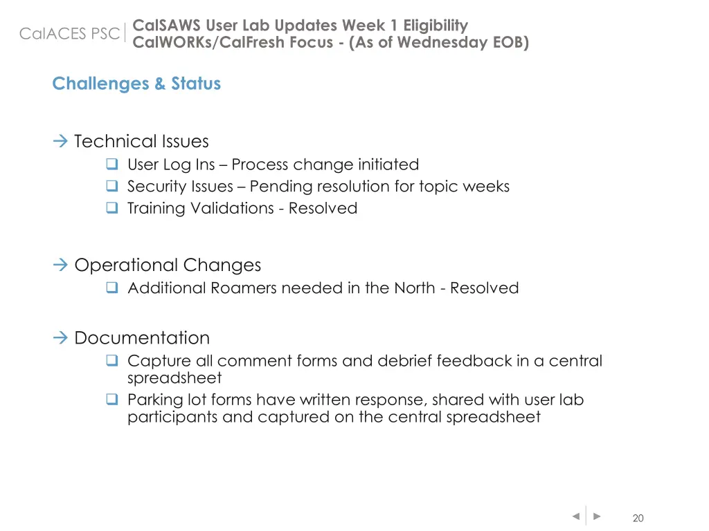 calsaws user lab updates week 1 eligibility