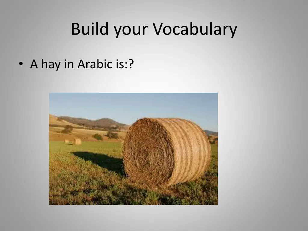 build your vocabulary 2