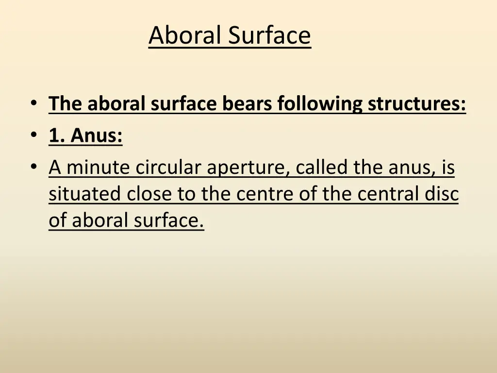 aboral surface 1