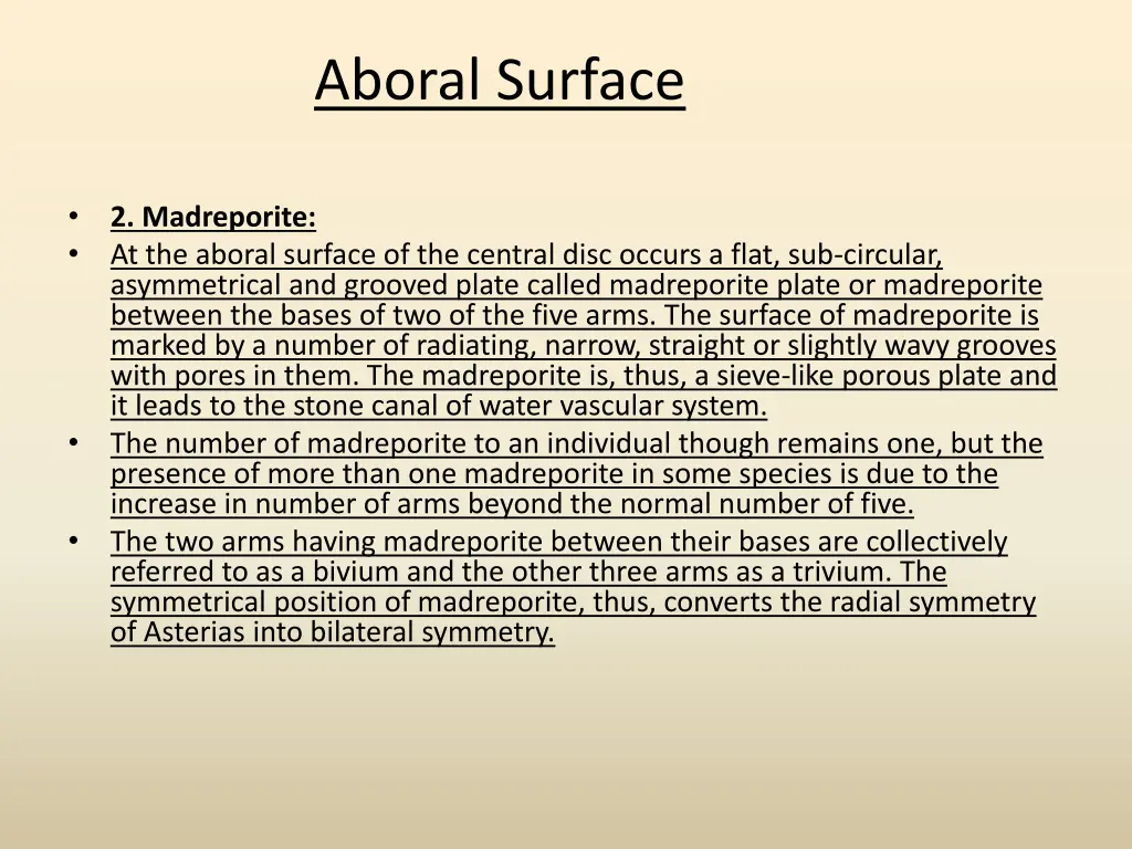 aboral surface 2