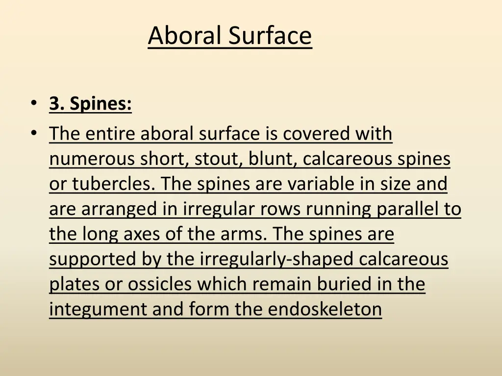 aboral surface 3