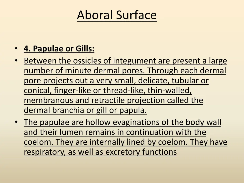 aboral surface 4