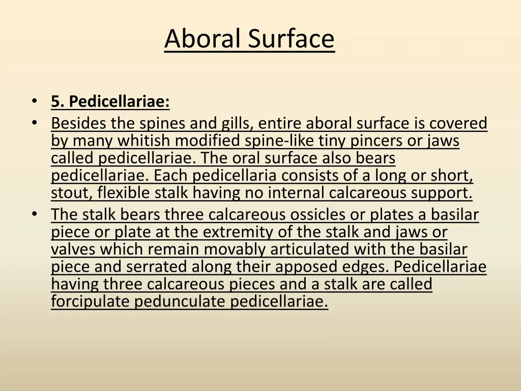 aboral surface 5