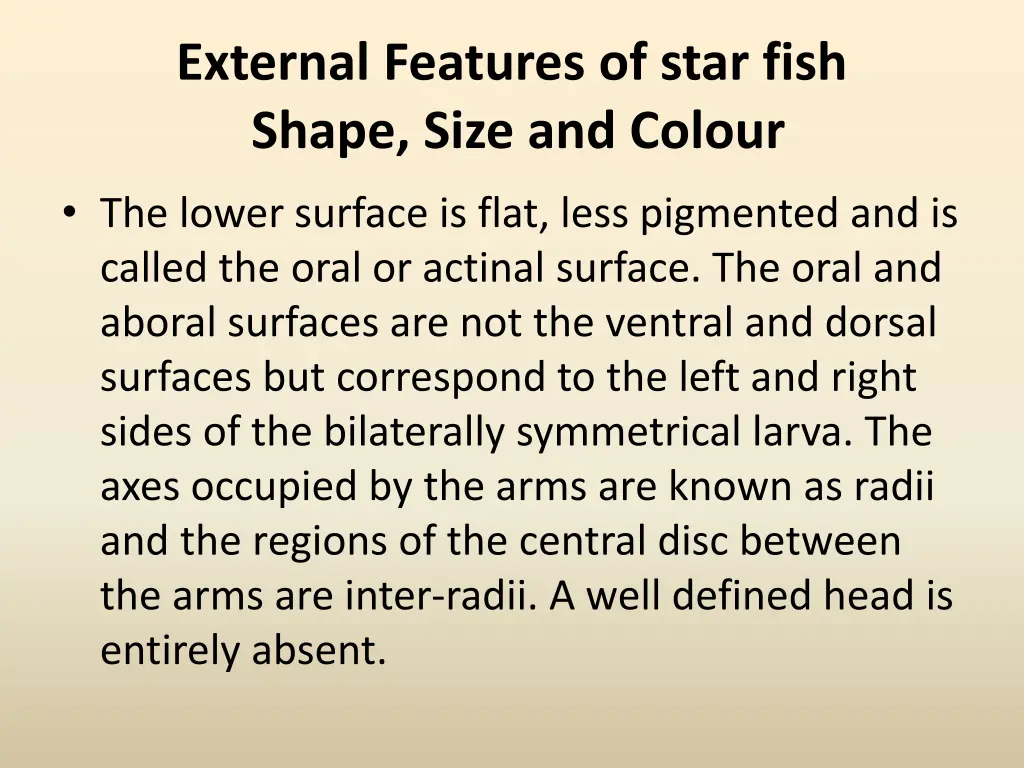 external features of star fish shape size 1