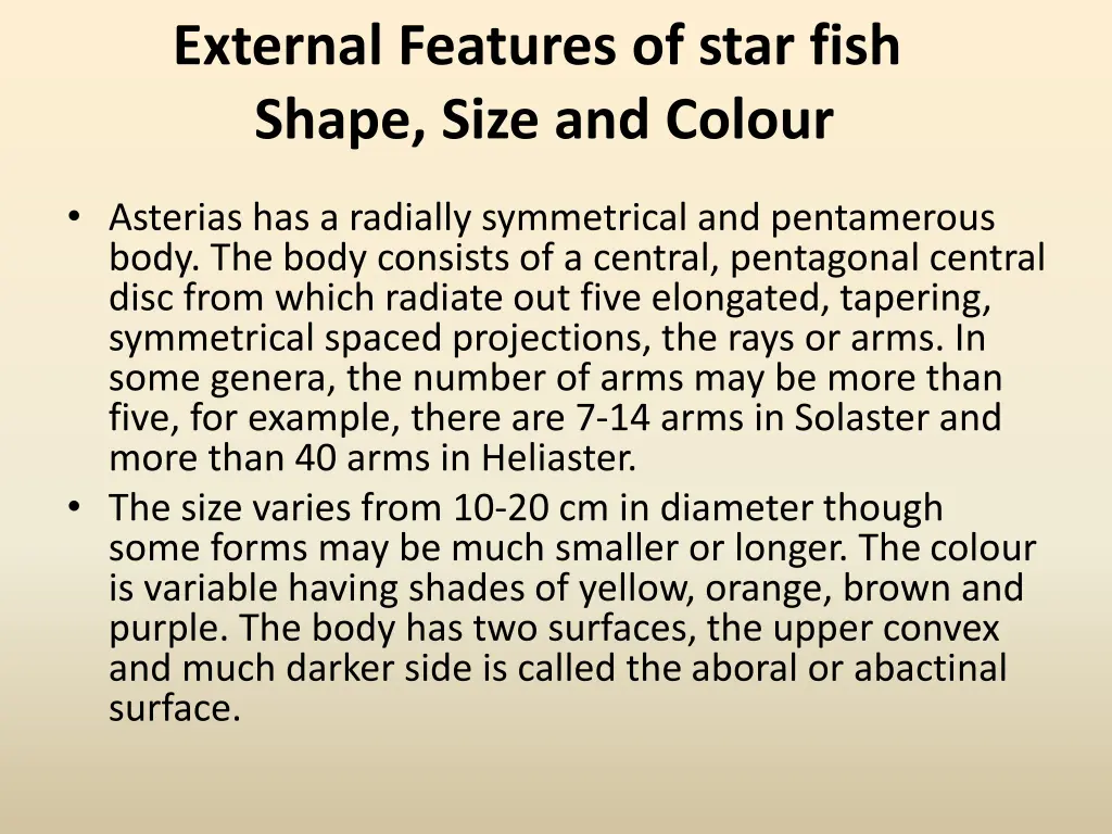 external features of star fish shape size