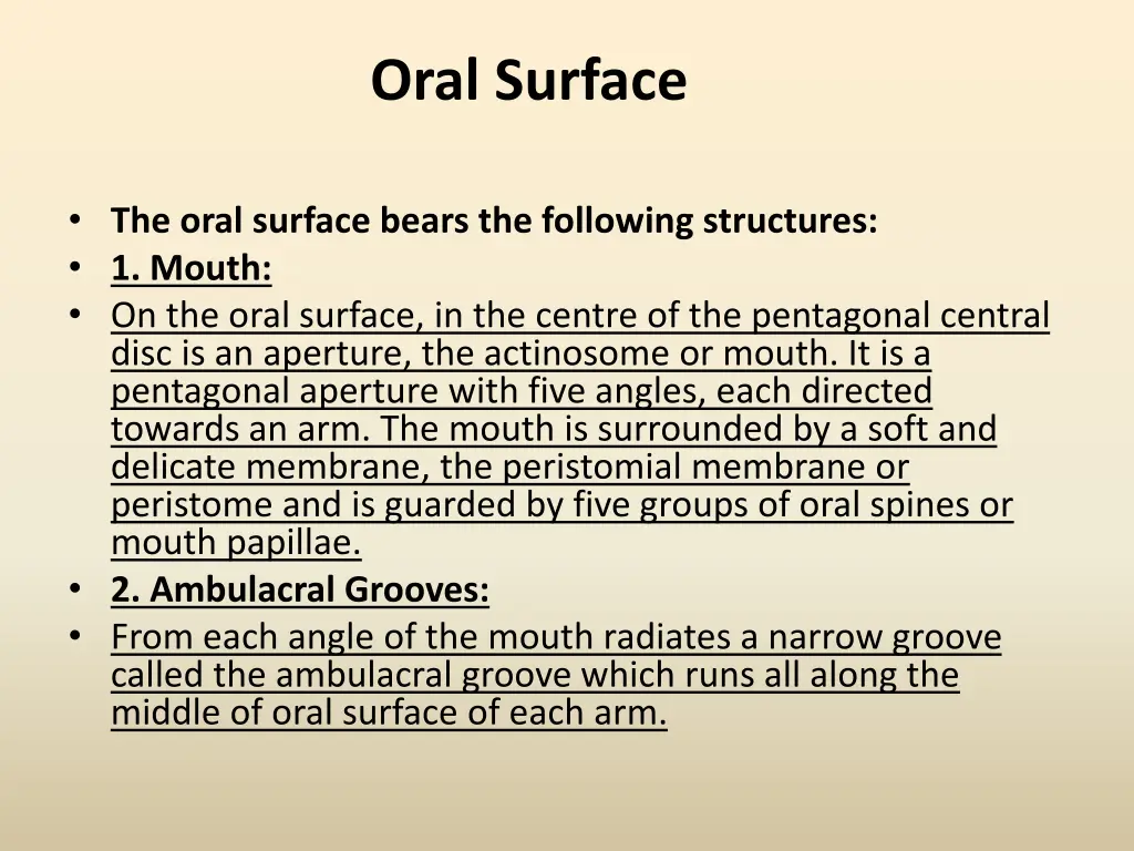 oral surface 1