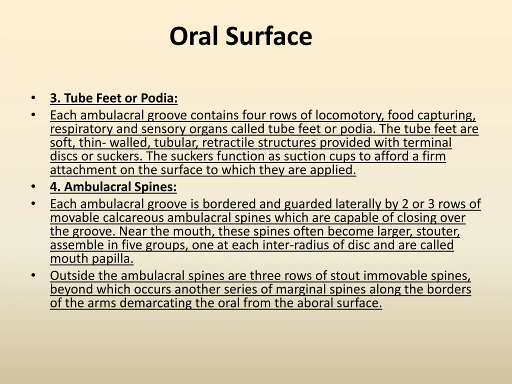 oral surface 2