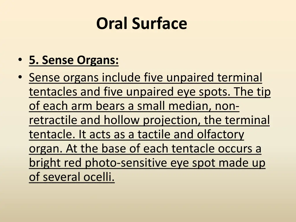 oral surface 3