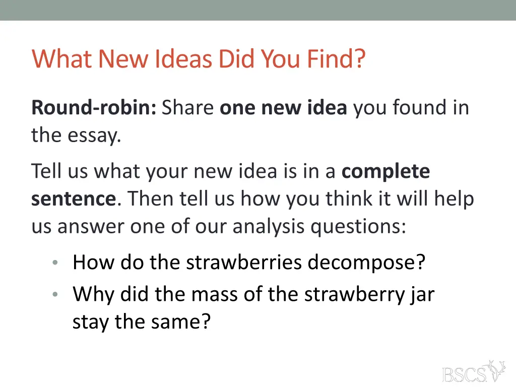 what new ideas did you find