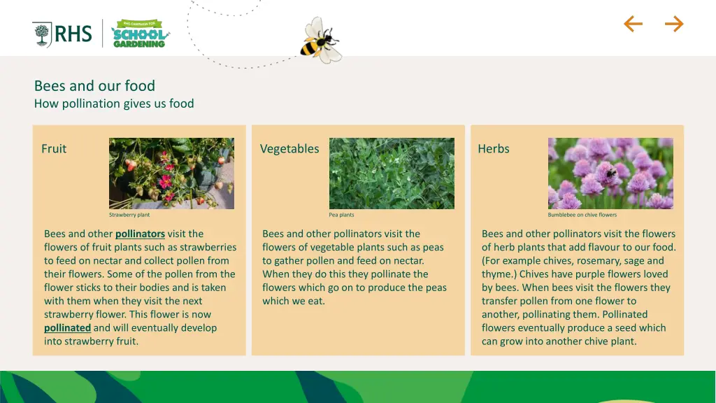 bees and our food how pollination gives us food