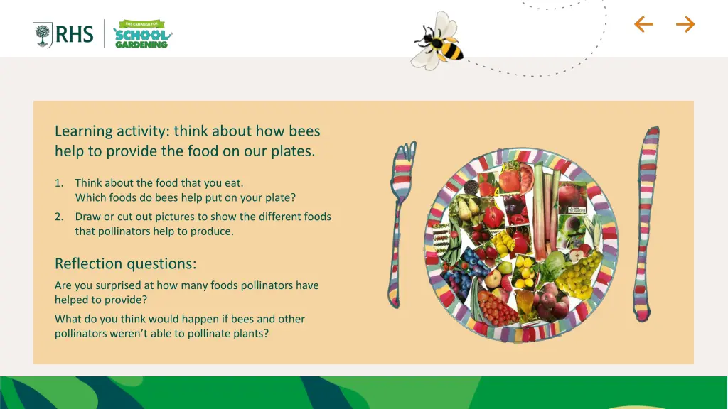 learning activity think about how bees help