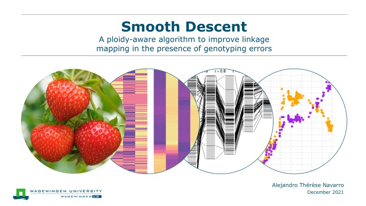 smooth descent a ploidy aware algorithm